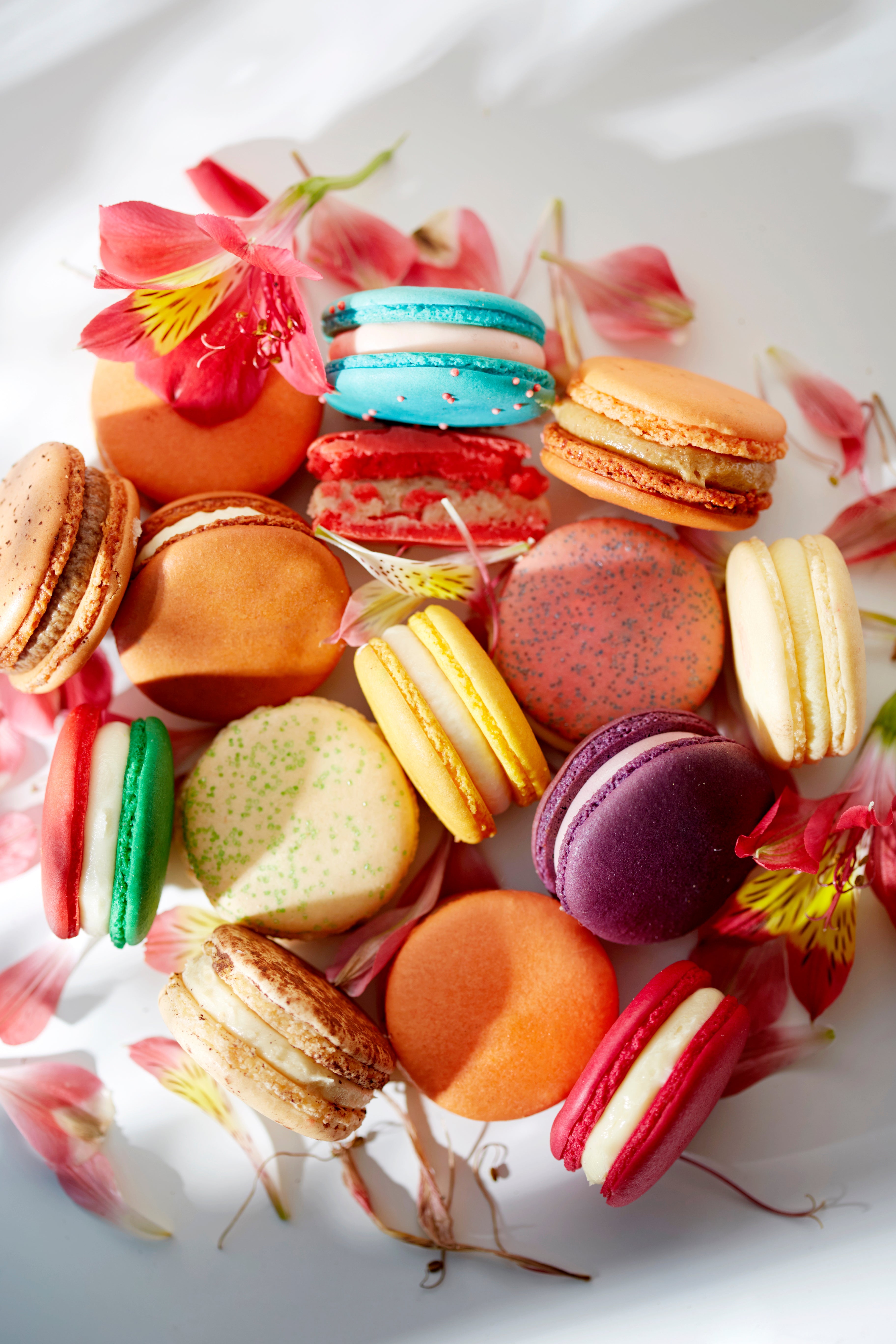 ★お求めやすく価格改定★ Creation Original Macaron Halal Gluten-Free, | Collection その他